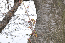 ETOFFE NEWSのブログ