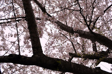 ETOFFE NEWSのブログ