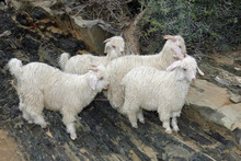 ETOFFE NEWSのブログ