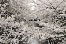 ETOFFE NEWSのブログ