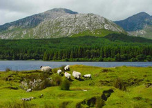 ETOFFE NEWSのブログ