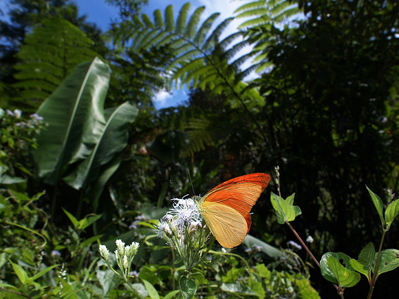 ETOFFE NEWSのブログ