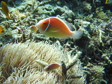 ETOFFE NEWSのブログ