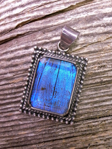 ETOFFE NEWSのブログ