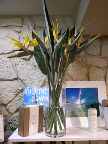 ETOFFE NEWSのブログ