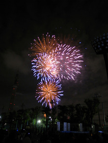 ETOFFE NEWSのブログ