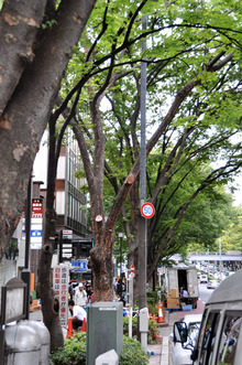 ETOFFE NEWSのブログ