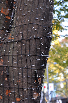 ETOFFE NEWSのブログ